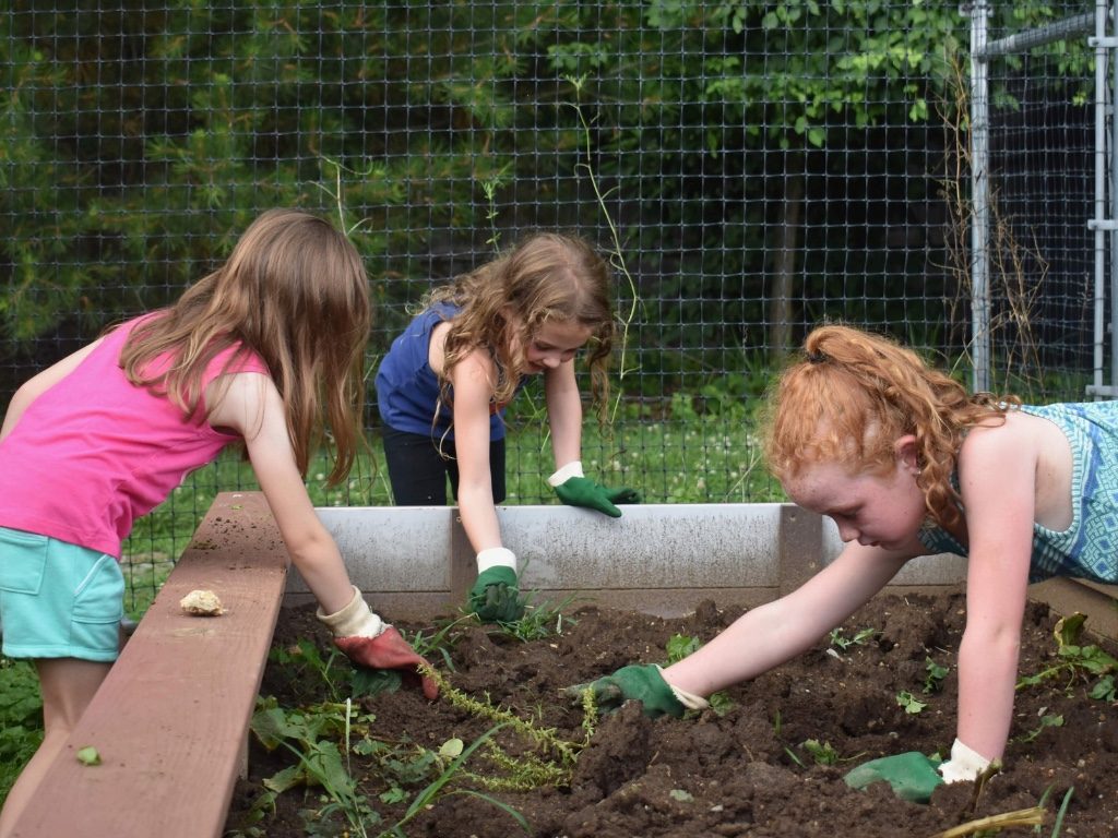 ESF Summer Camps Gardening